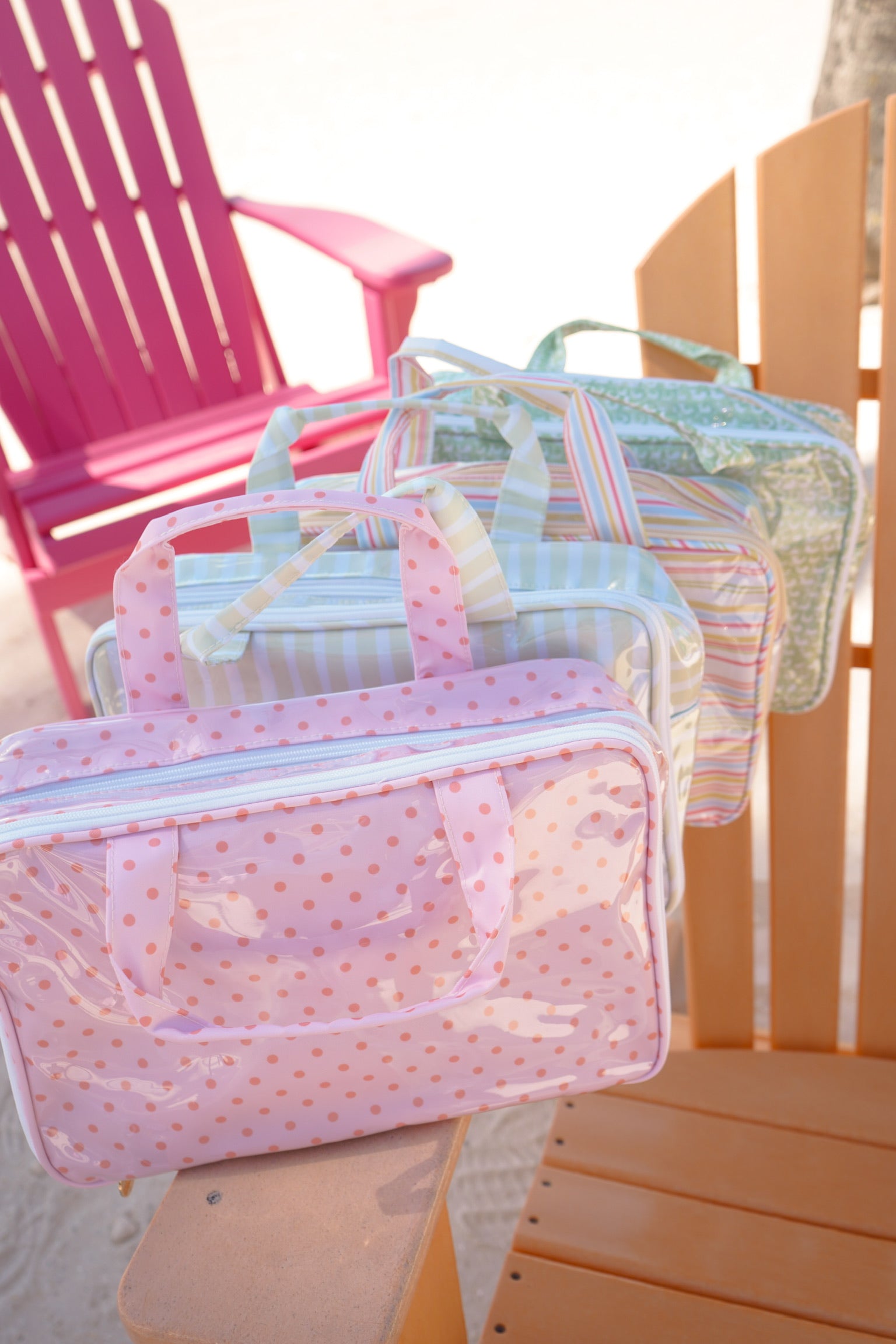 Clear Coat Toiletry Case