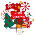 Christmas Themed Dog Treats Gift Box