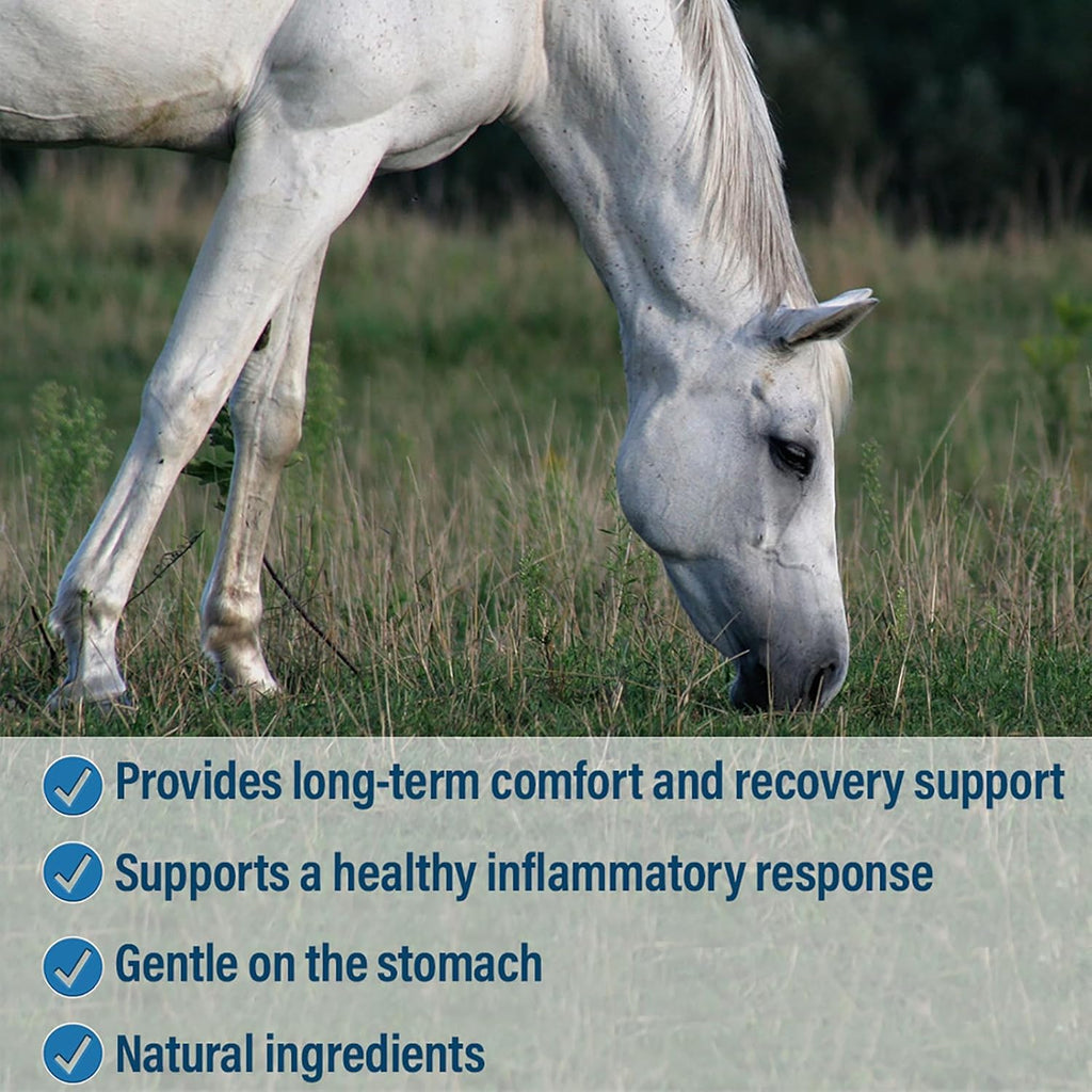 Absorbine Bute Less Pellets Horse Recovery Support 5 lbs.