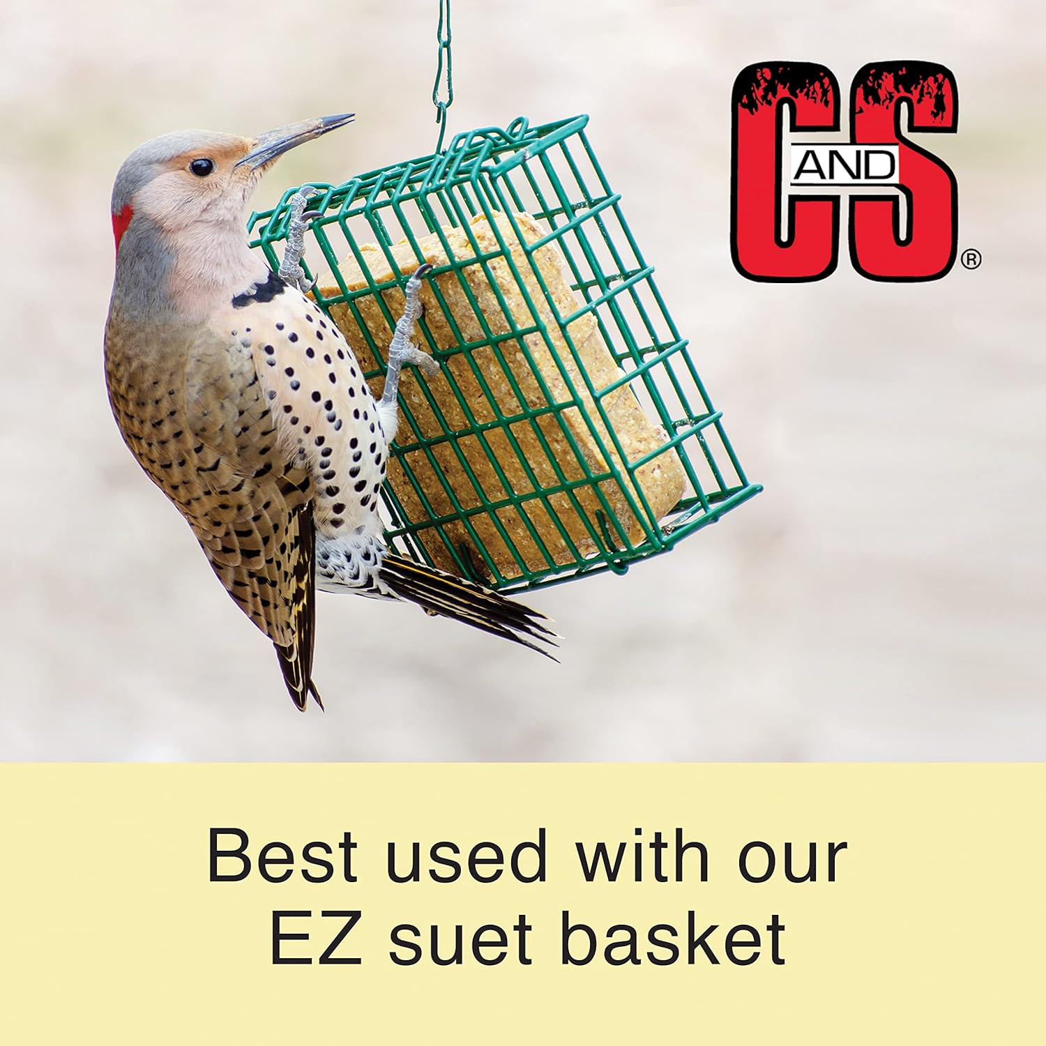 C&S Nutty Suet Treat Bird Cake 11.75 oz & Large Suet Basket Feeder Combo