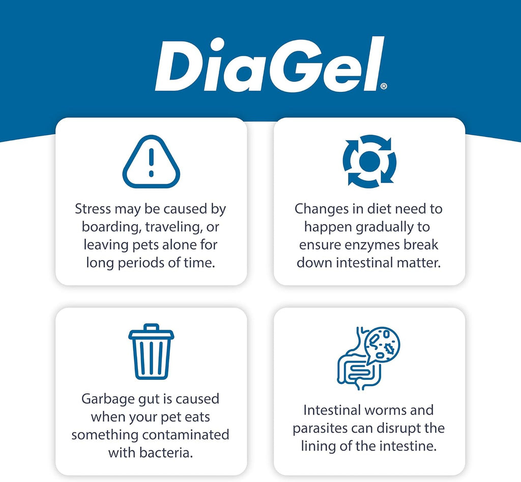 DiaGel Diarrhea Control Gel 3 ml Medium Dogs Digestive Upset Loose Stool Relief
