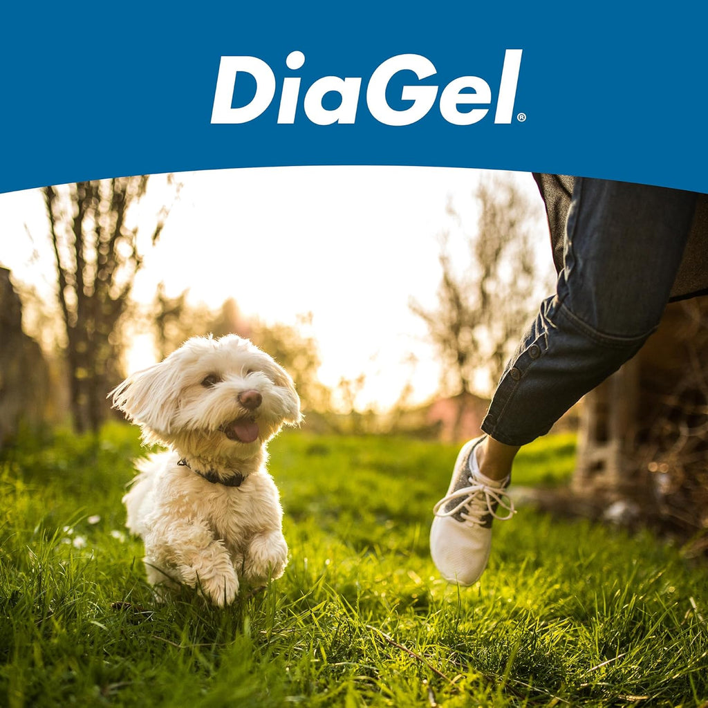 DiaGel Diarrhea Control Gel 1 ml Small Dogs Digestive Upset Loose Stool Relief