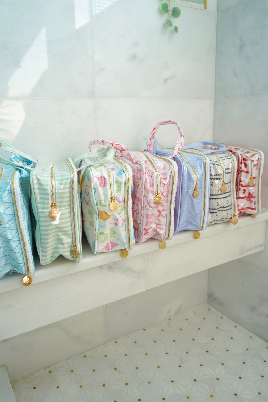 Clear Coat Toiletry Case