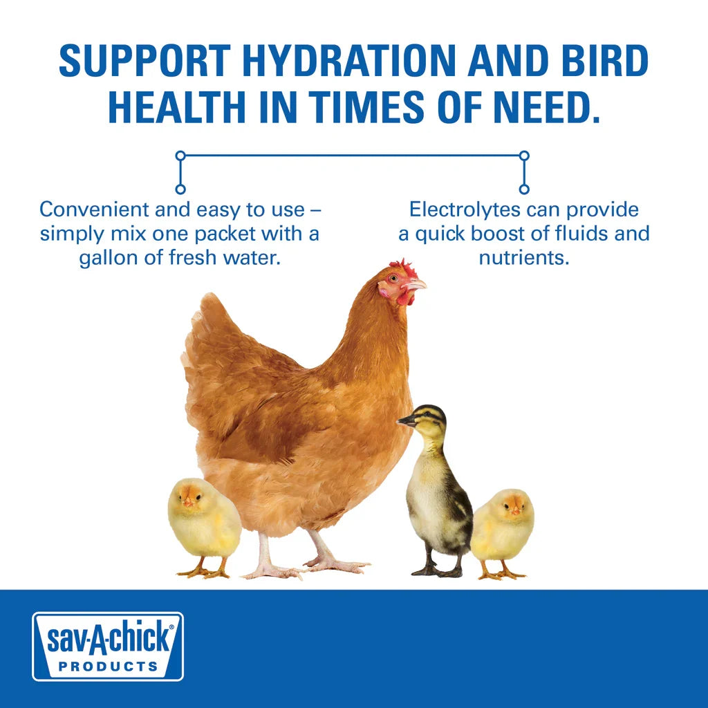 Chicken Bird Sav-a-chick Poultry Vitamins & Electrolytes 20 Pack Supplement