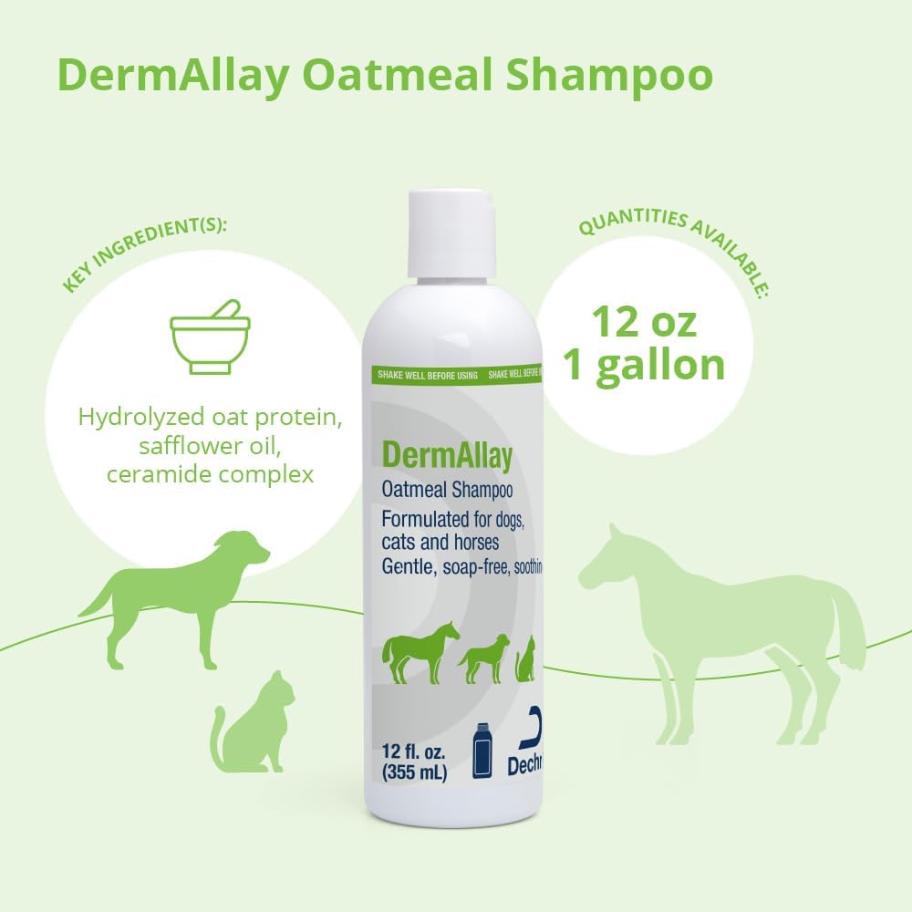 Dechra DermAllay Oatmeal Shampoo 12oz. Dogs Cats Horses Soothes Itchy Dry Skin