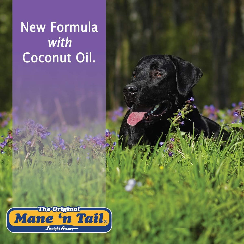 Mane 'n Tail Ultimate Gloss Horse Shampoo pH Balanced Formula 32 oz.
