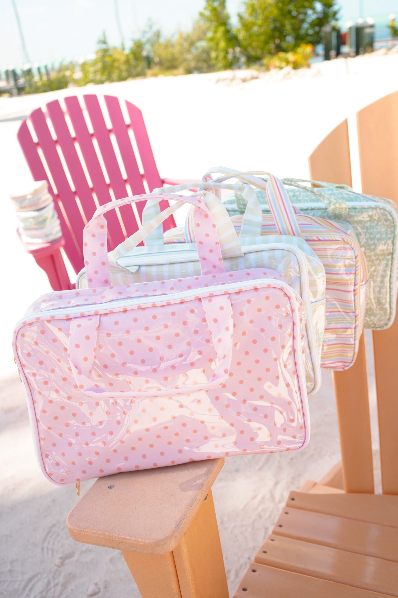 Clear Coat Toiletry Case