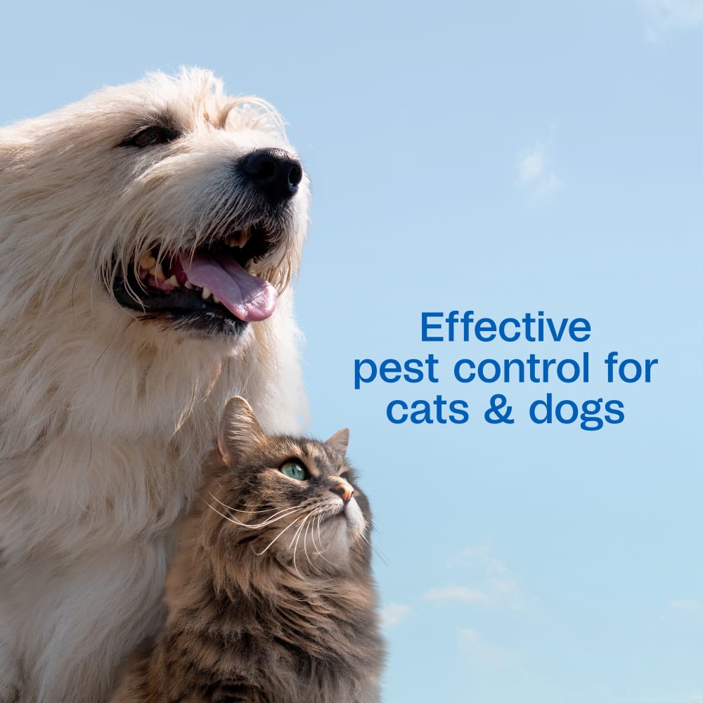 Adams Plus Flea and Tick Shampoo with Precor for Cats and Dogs Gallon