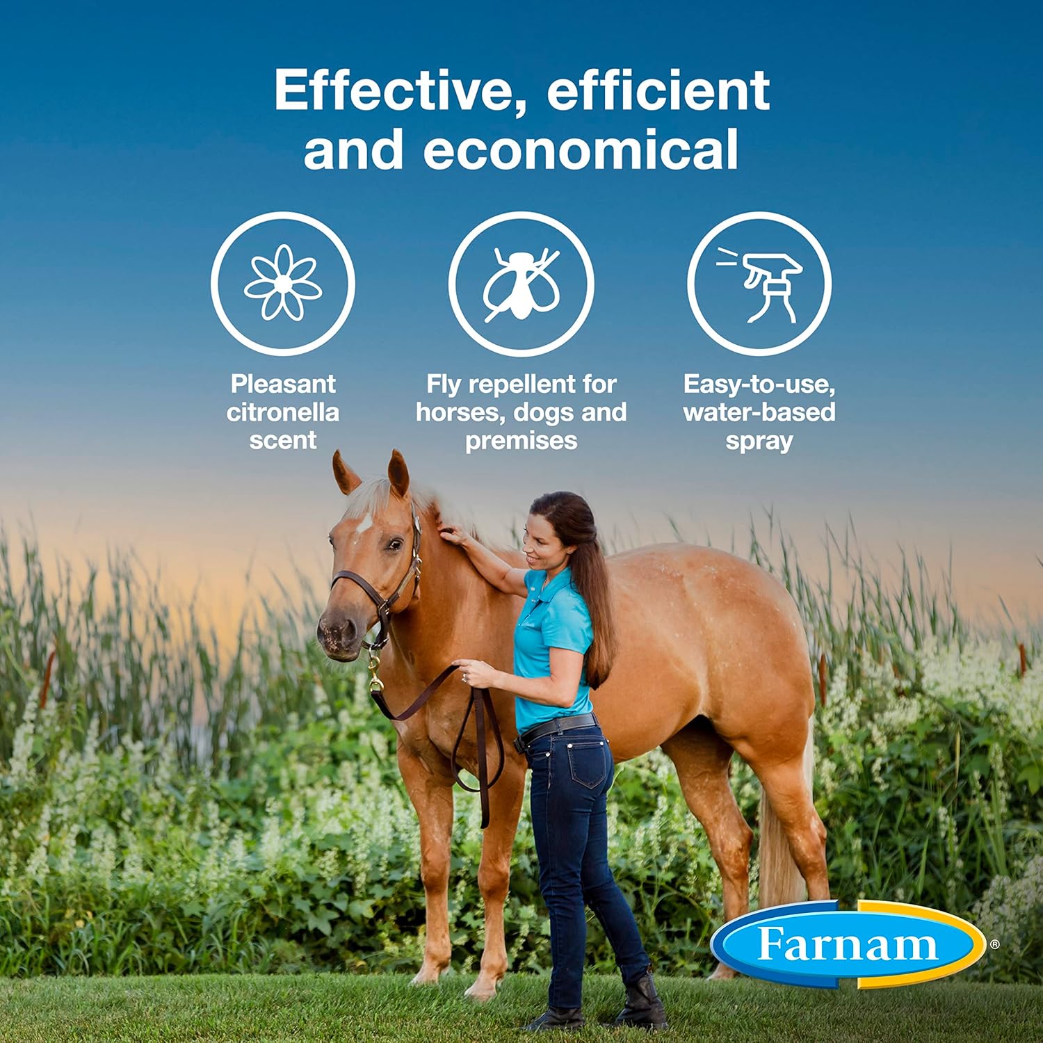 Farnam Bronco Equine Fly Spray Plus Citronella Repellent 32 oz. for Horses & Dogs 2PK