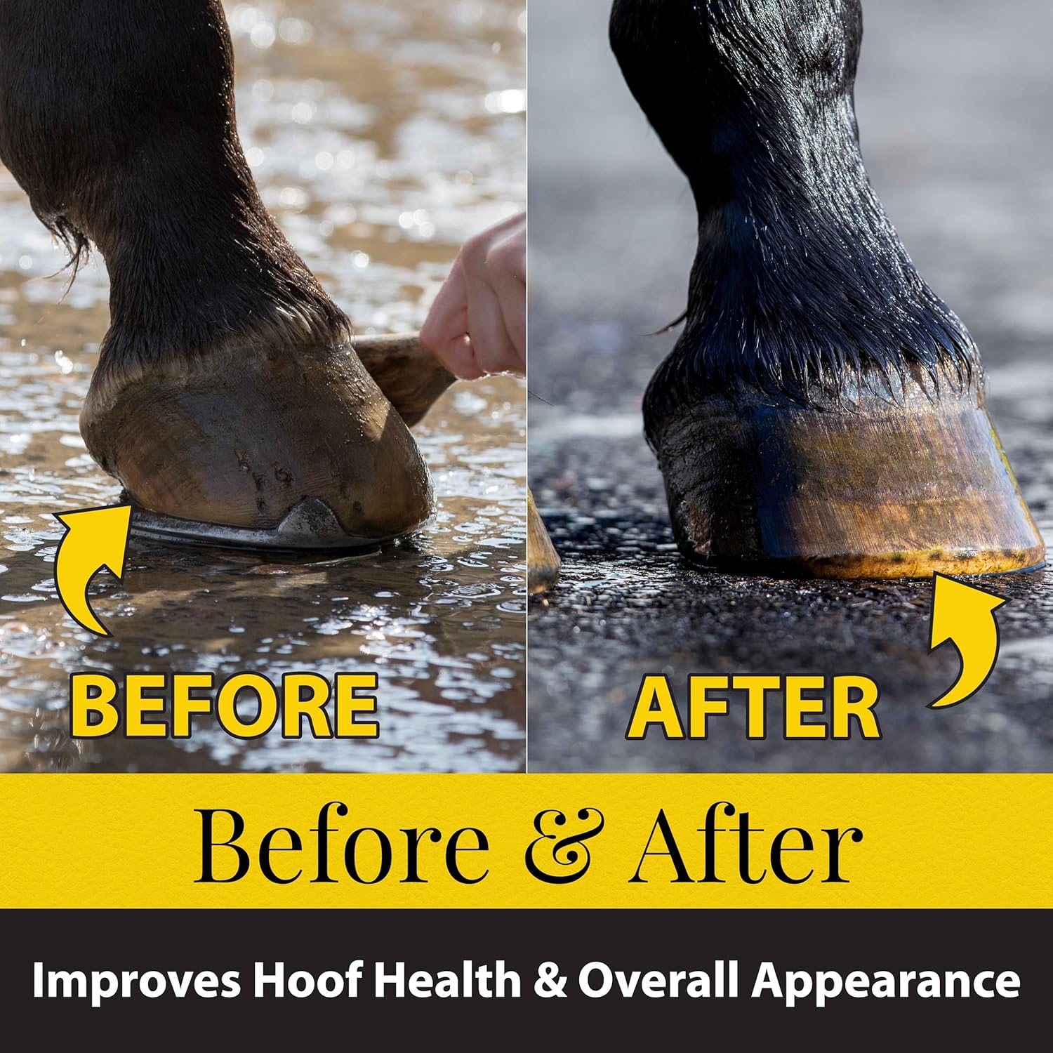 Fiebing's Hoof Dressing Treat Horse Hooves and Brittle Feet 32 oz. 3-Pack