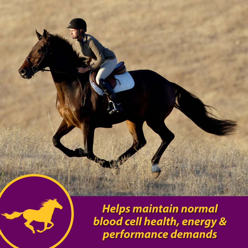 Horse Health Red Cell Supplement 32 oz. Yucca Vitamin Iron Mineral Blood Builder