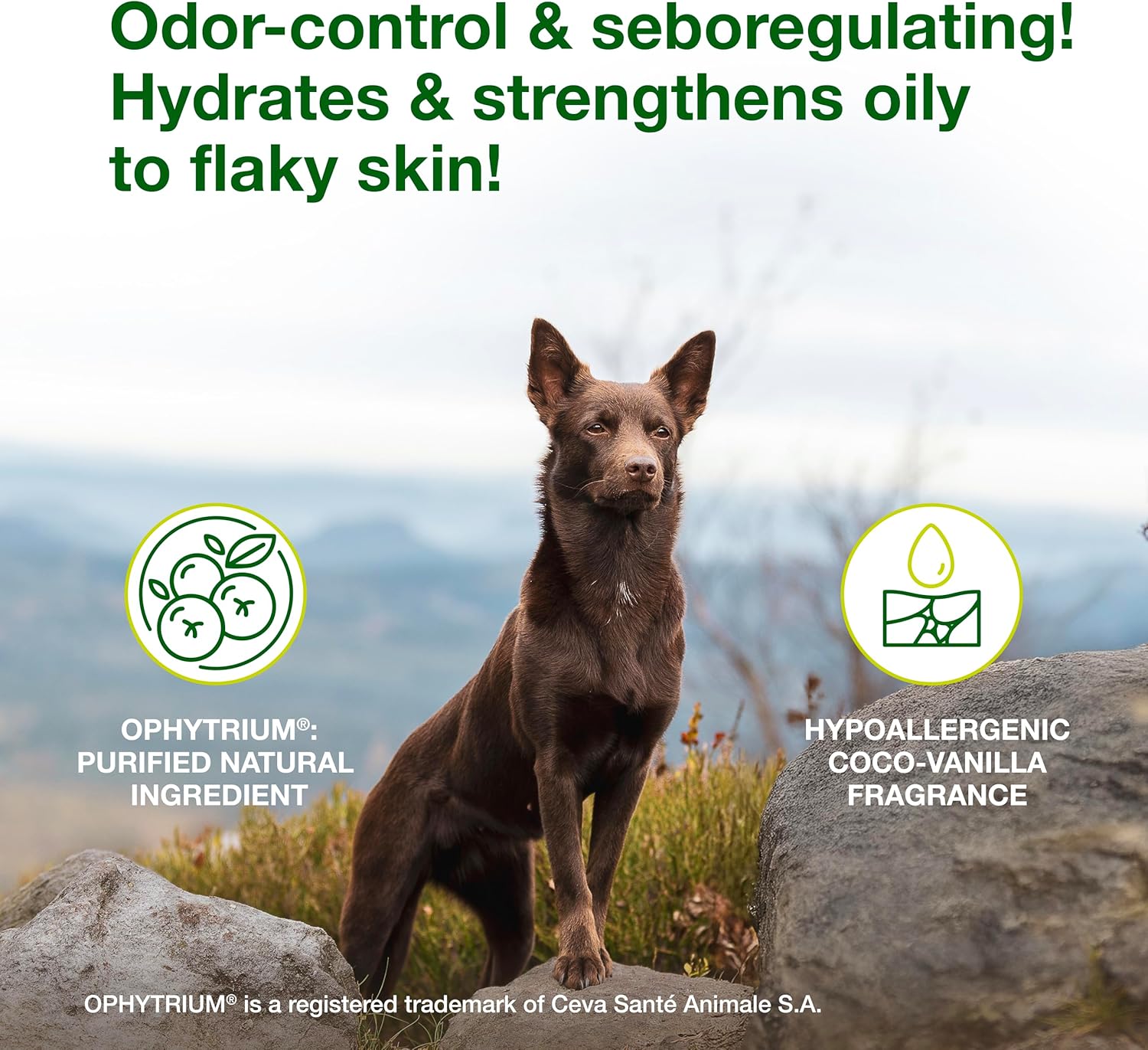 Douxo S3 SEB Mousse for Dogs & Cats Skin Coat Care 5.1 oz.