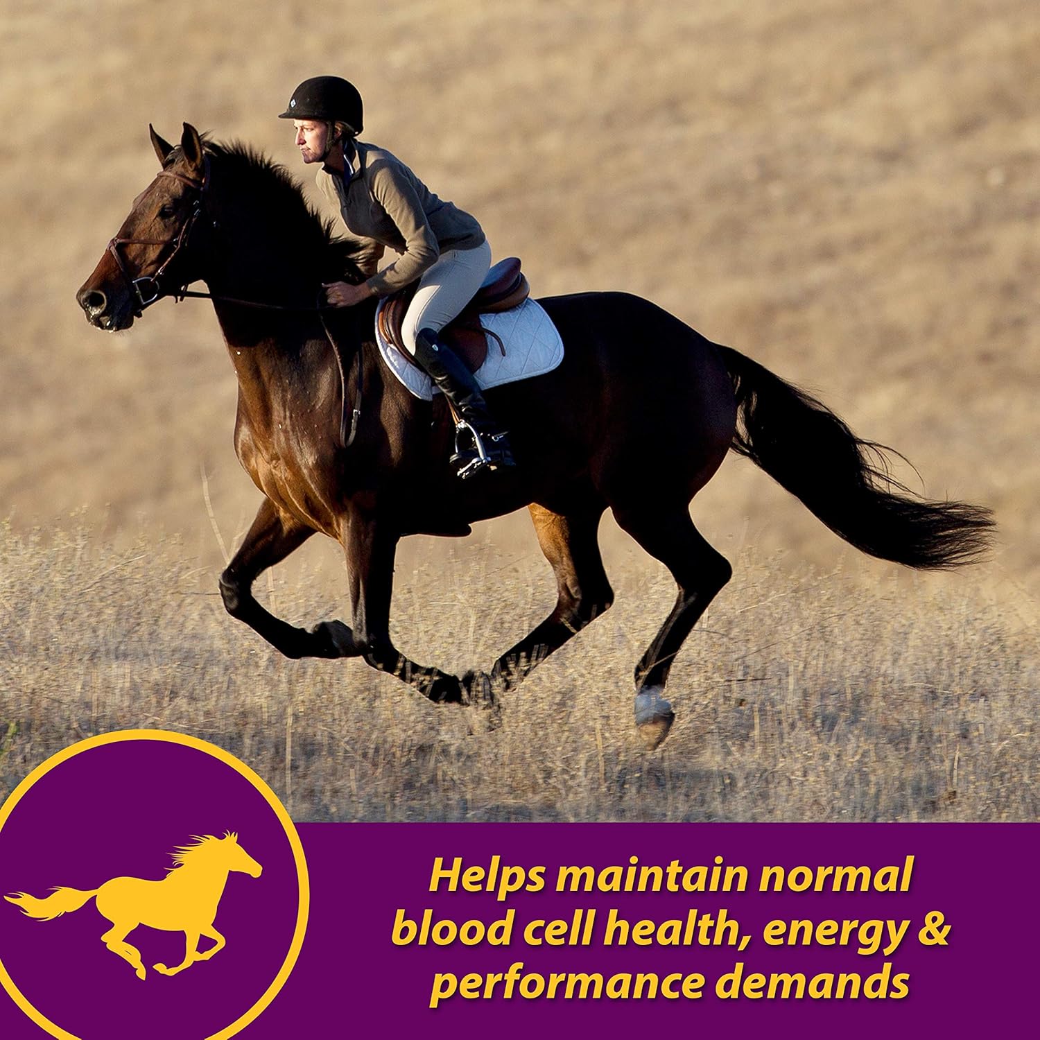 Horse Health Red Cell Vitamin-Iron-Mineral Supplement for Horses Gallon