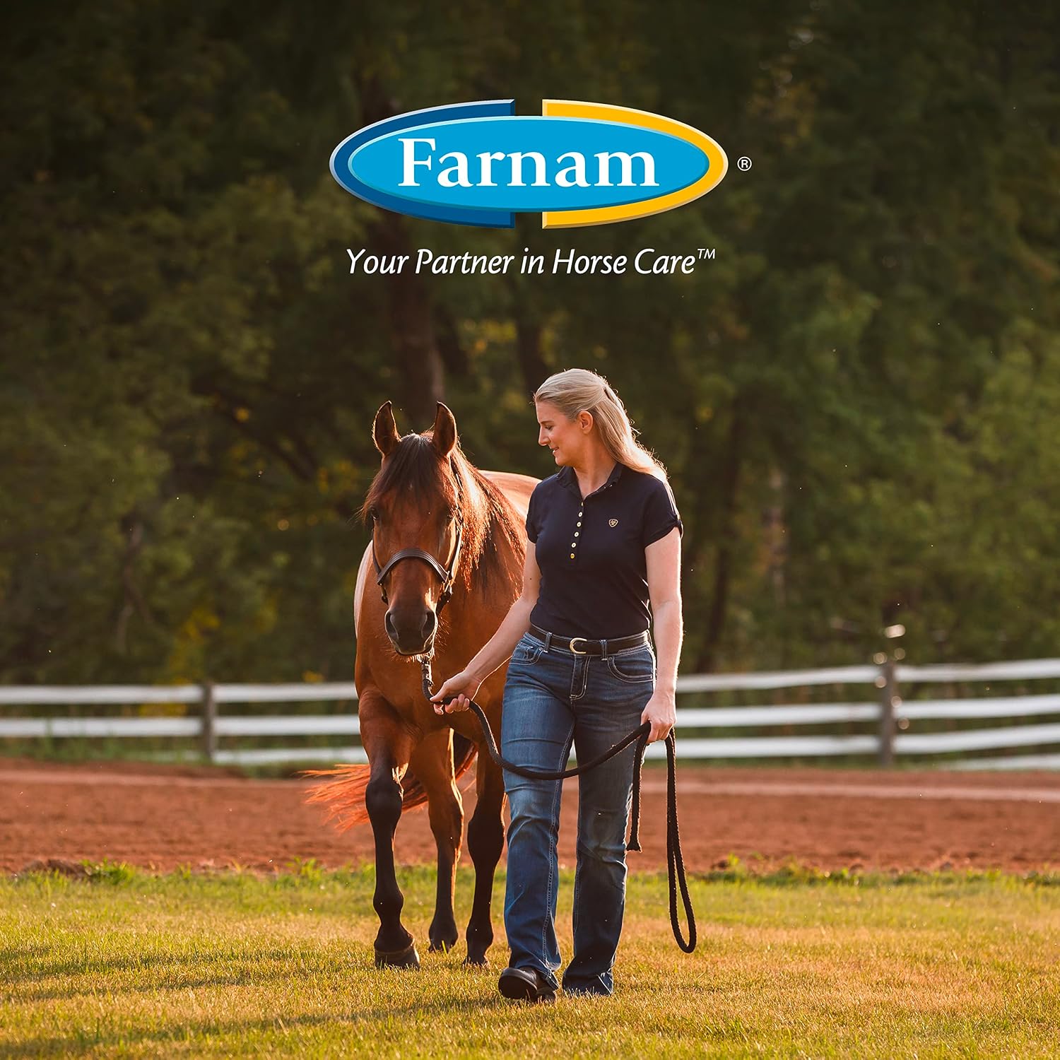Farnam Bronco Equine Fly Spray Plus Citronella Repellent 32 oz. for Horses & Dogs 2PK