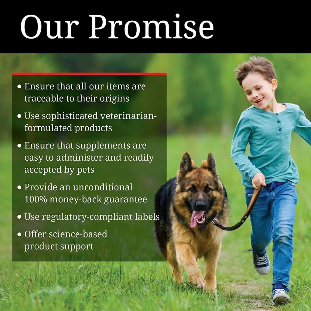 Cetyl M Advance Healthy Hips & Joints Action Care for Dogs 360 Tablets
