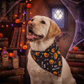 Aria Halloween Dog Bandana Pumpkin Bone Howl-O-Ween Pet Accessory