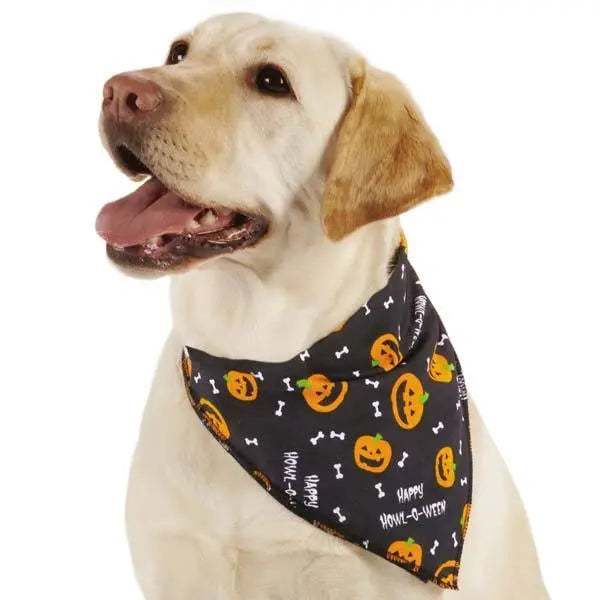 Aria Halloween Dog Bandana Pumpkin Bone Howl-O-Ween Pet Accessory