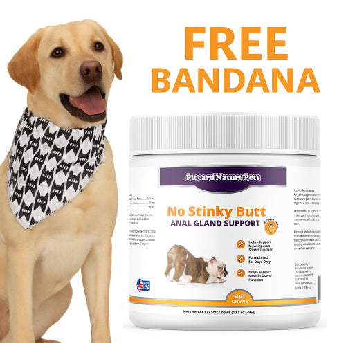 PiccardNaturePets No Stinky Butt Anal Gland Dog Support 120ct Chews + FREE Bandana!
