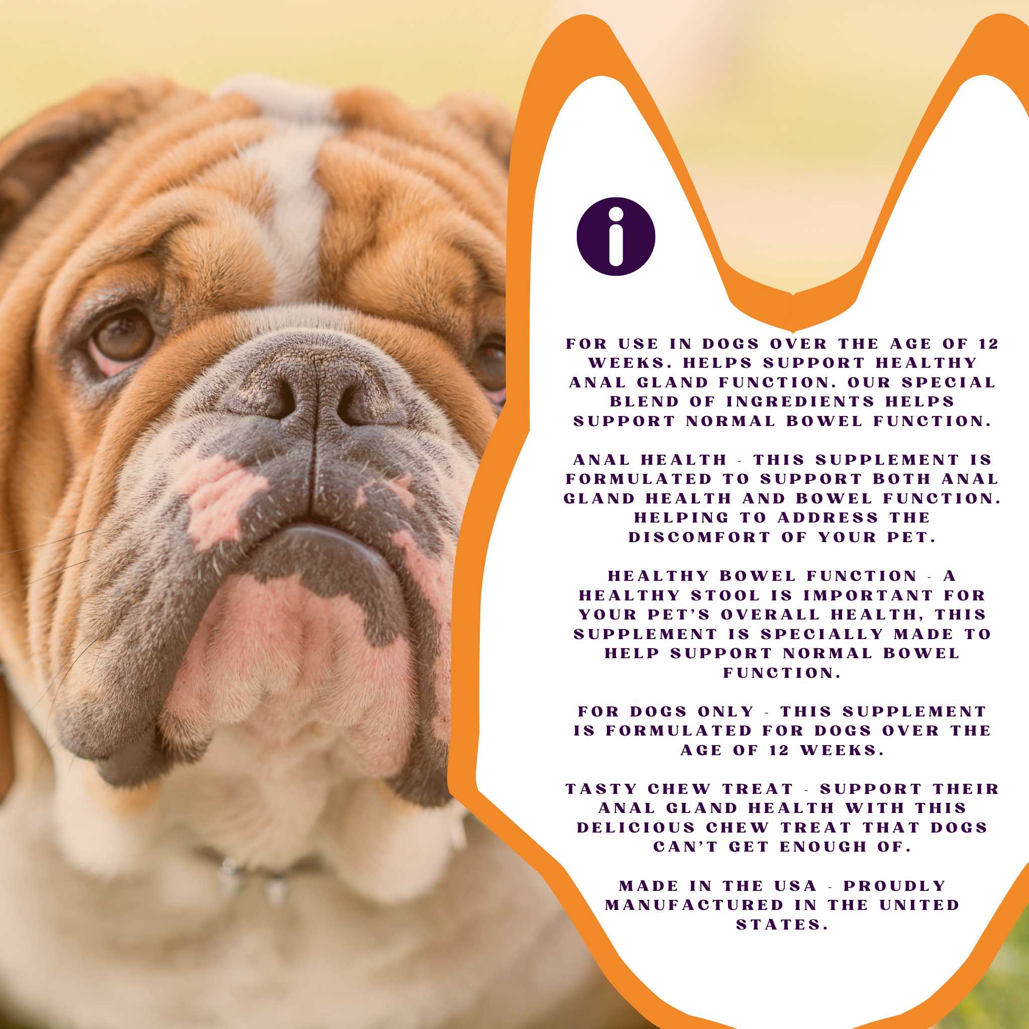 PiccardNaturePets No Stinky Butt Anal Gland Dog Support 120ct Chews + FREE Bandana!