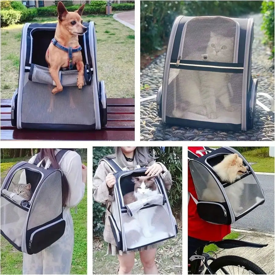 https://ae-pic-a1.aliexpress-media.com/kf/Sb8b0fa6c73f44d3fa2686f3d67ecc340Q.jpg_500x500.jpg_.webp