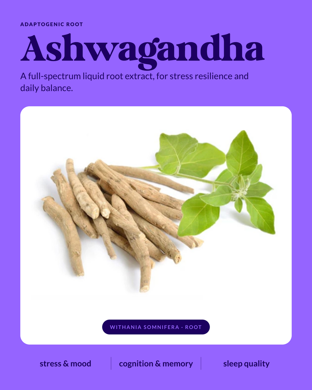 Organic Ashwaganda WellDrops Tincture