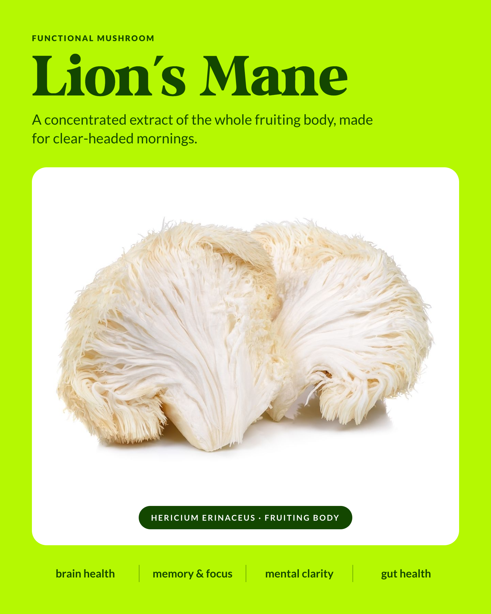 Organic Lion's Mane WellDrops Tincture