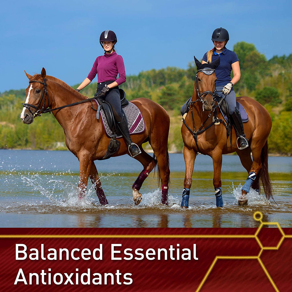 Vita Flex E and Selenium Supplement for Horses 20lbs. 320 Day Supply
